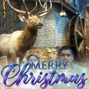 Meet your Posher, Rodolfo